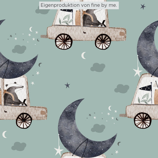 Stoffübersicht „Marty and the Moon“